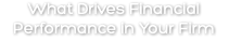 What Drives Financial Performance in Your Firm