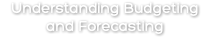 Understanding Budgeting and Forecasting