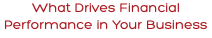 What Drives Financial Performance in Your Business